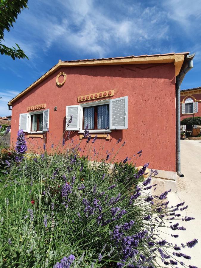 Apartment "House Tigra" Rovinj Eksteriør billede